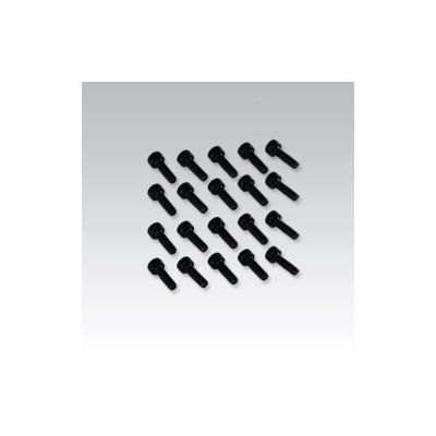 Socket Screw M3x10