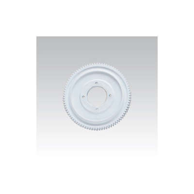 Main Spur Gear 91T R60