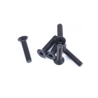 FHHS M3x14 (FTX-6538)