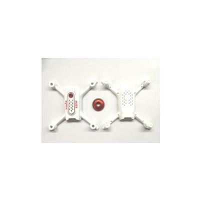 Body shell (white)