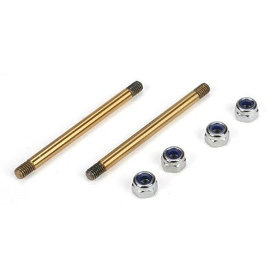TLR Ti Nitride Hinge Pin, Rear Outer, Threaded (2)