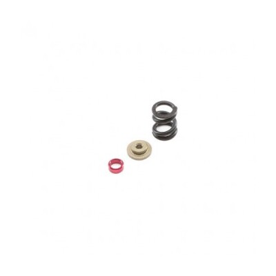 TLR HD Slipper Spring Set, All 22