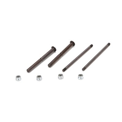 TLR Front Hinge/King Pin Set