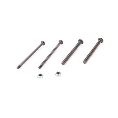 TLR Front Hinge/King Pin Set