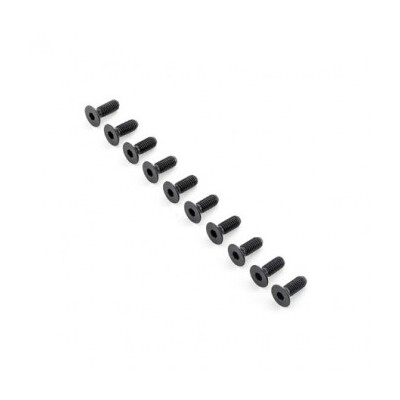 TLR Flat Head Screws, M6x16mm (10)