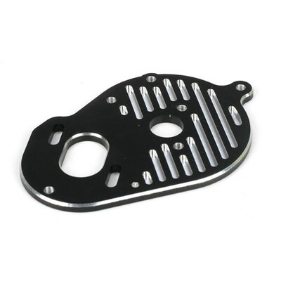 TLR Motor Plate