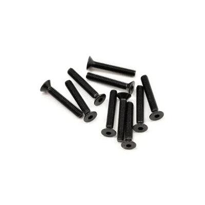TLR Flathead Screws, M2.5x16mm (10)