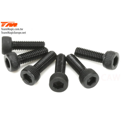 2.5x8mm Steel Cap Screw (6)