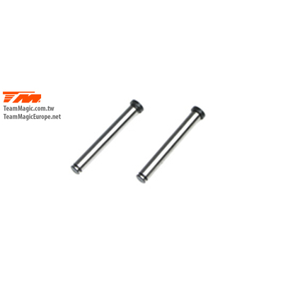 E4 Front Lower Outer Hinge Pin (2)