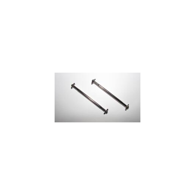 dog bone
