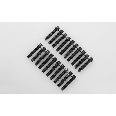 RC4WD Miniature Scale Hex Bolts (M2.5 x 12mm) (Black)