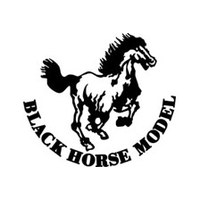 BLACK HORSE AIRCRAFT